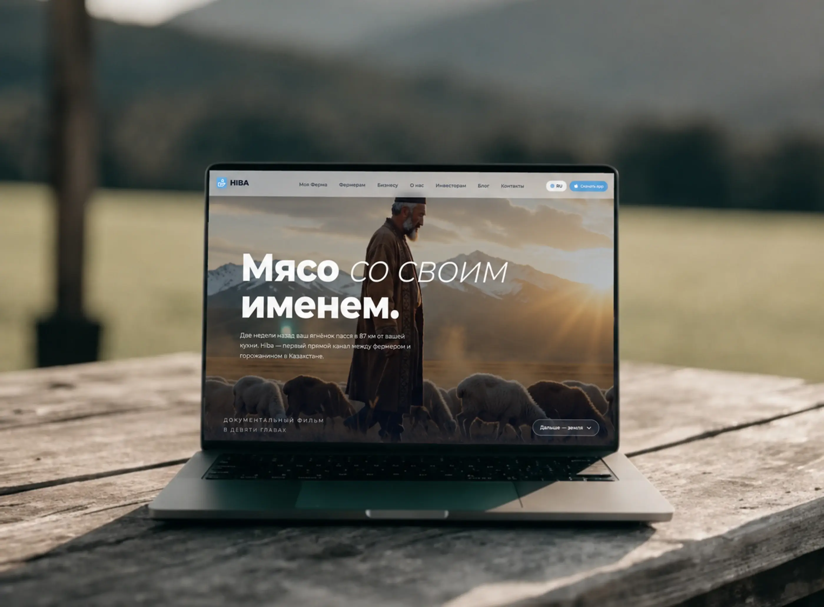 HIBA — сайт проекта