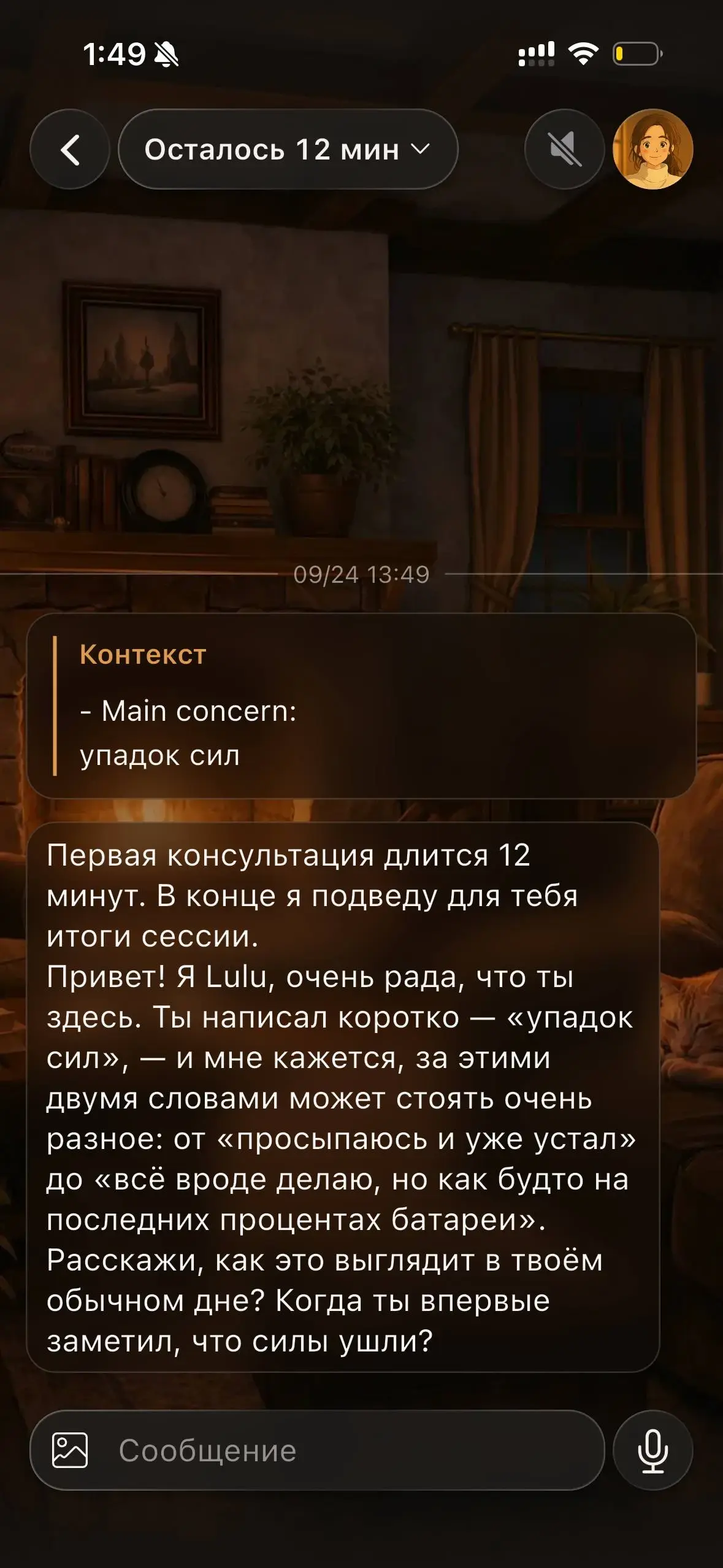 Сеанс с Lulu: осталось 12 минут, тема — упадок сил