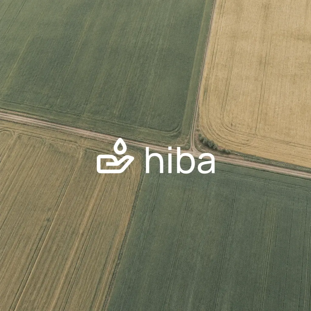HIBA — сайт проекта